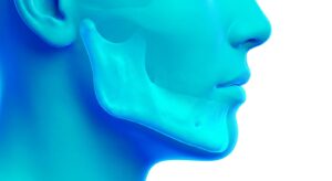 무턱의 해부학적 구조와 프로필 분석 3D 일러스트
