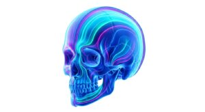 두상의 해부학적 구조와 필러 주입 원리를 보여주는 3D 일러스트